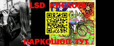 СК Новозыбков