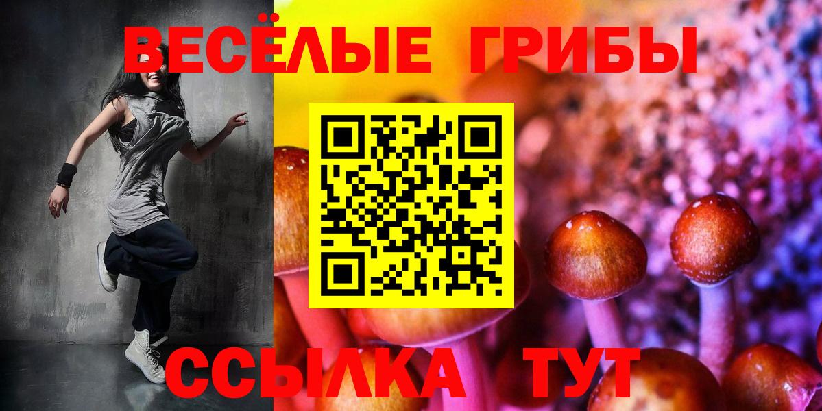 Галлюциногенные грибы прущие грибы  Вход с VPN  Соль-Илецк 