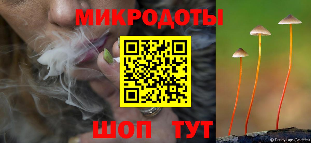 Псилоцибиновые грибы мухоморы Соль-Илецк